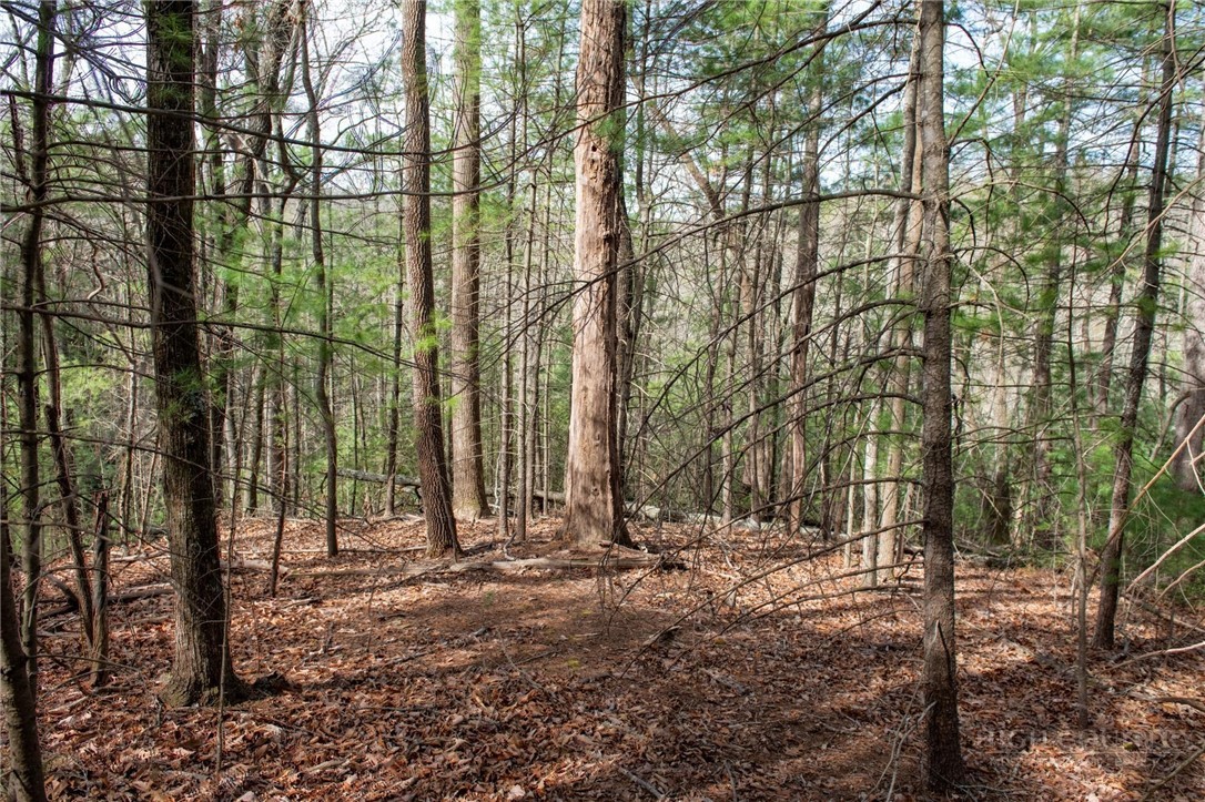 000 Blowing Rock Boulevard Property Photo 18
