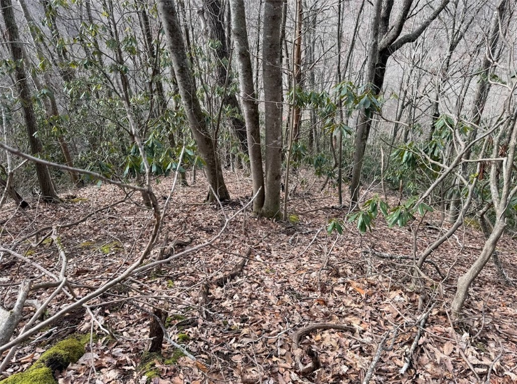 2.13 Acres Big Ridge Road Property Photo 2