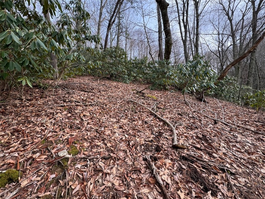 2.13 Acres Big Ridge Road Property Photo 3