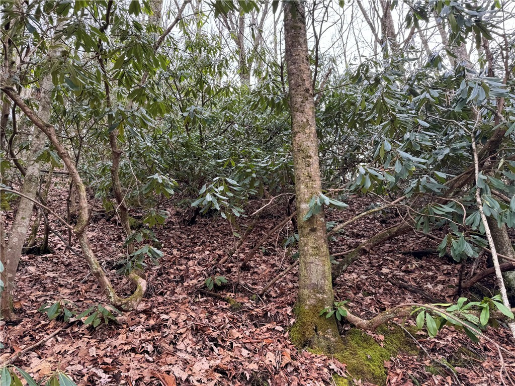 2.13 Acres Big Ridge Road Property Photo 4
