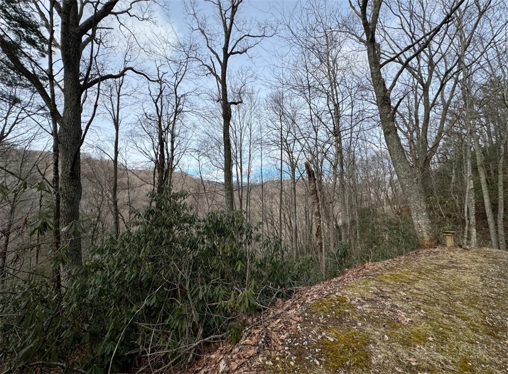 2.13 Acres Big Ridge Road Property Photo 5