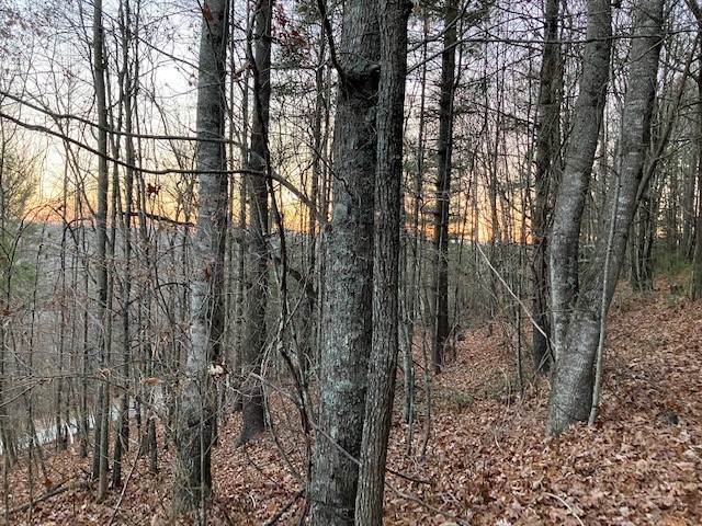 TBD Old Deer Trace Road