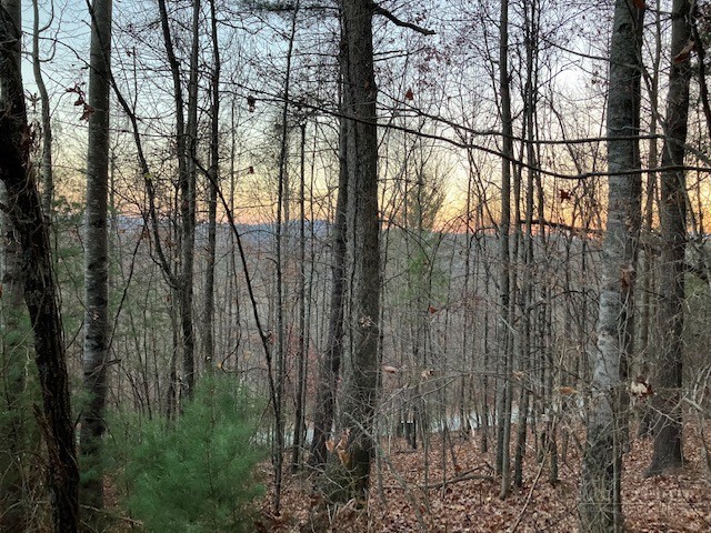 Tbd Old Deer Trace Road Property Photo 2
