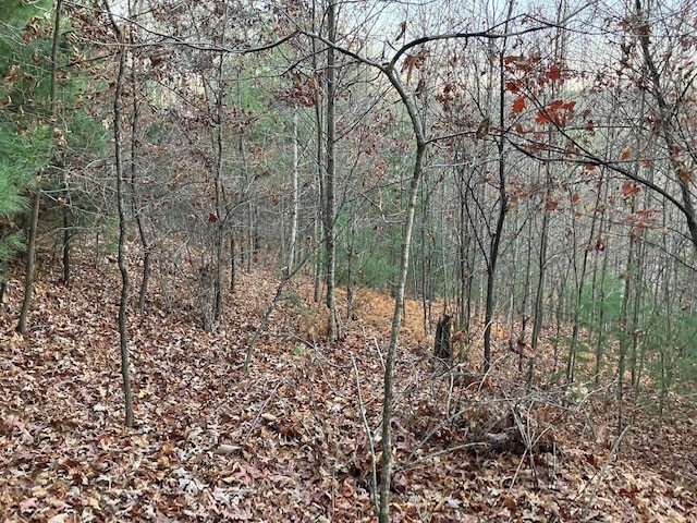 Tbd Old Deer Trace Road Property Photo 3