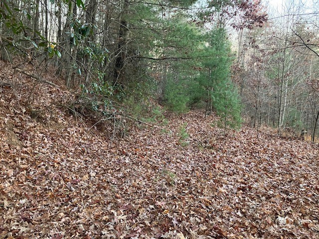 Tbd Old Deer Trace Road Property Photo 4