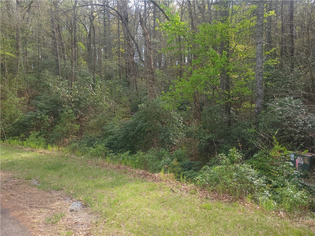 Tbd Pine Chase N/a Property Photo 2