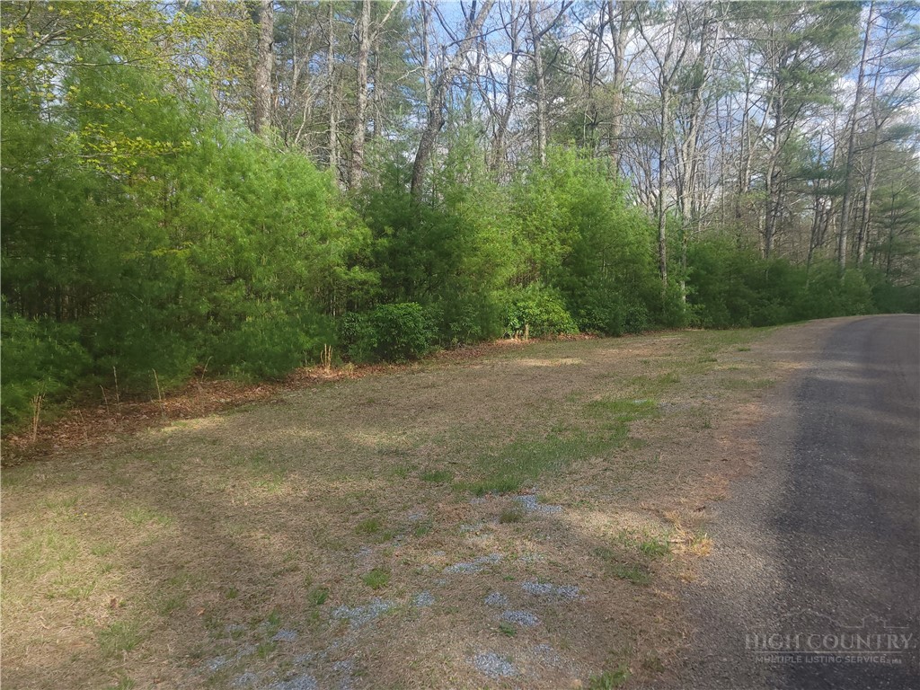 Tbd Pine Chase N/a Property Photo 3