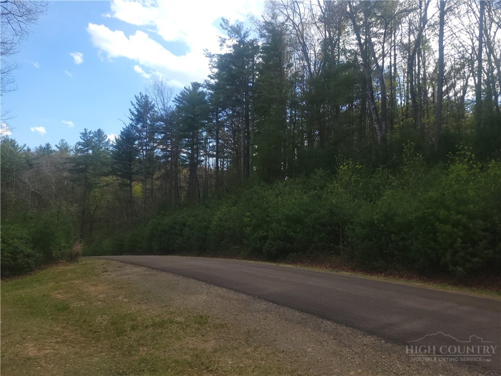 Tbd Pine Chase N/a Property Photo 4
