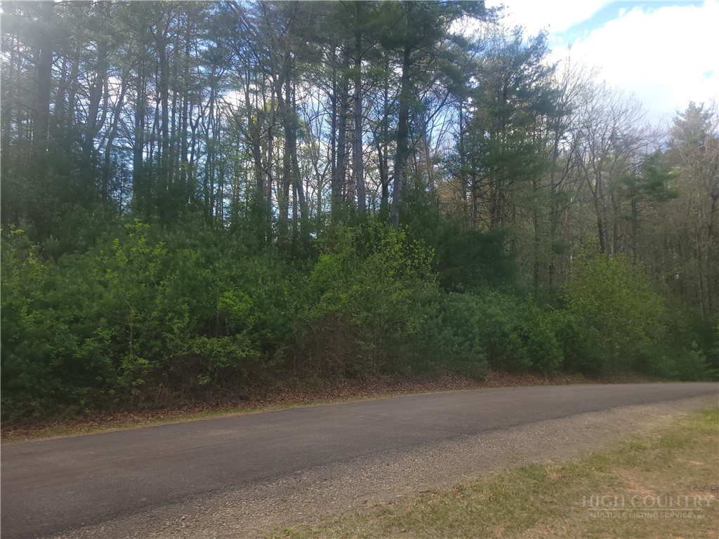 Tbd Pine Chase N/a Property Photo 5