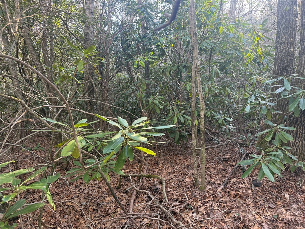 TBD Huckleberry Knob Lane