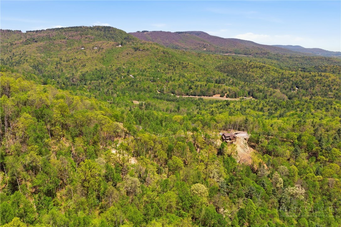 Lot 44 Wildcat Wilderness Parkway Property Photo 8