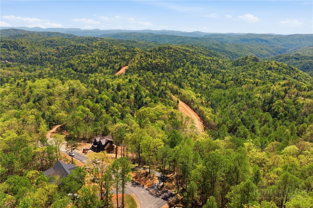 Lot 44 Wildcat Wilderness Parkway Property Photo 13