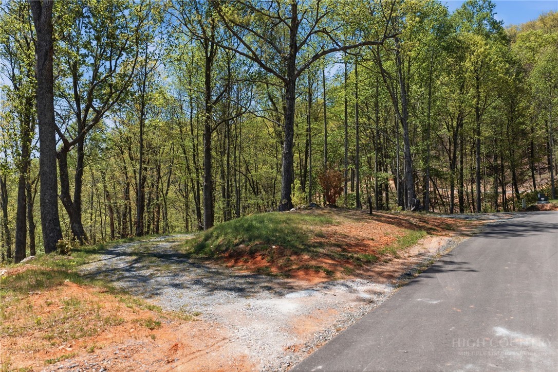 Lot 44 Wildcat Wilderness Parkway Property Photo 14