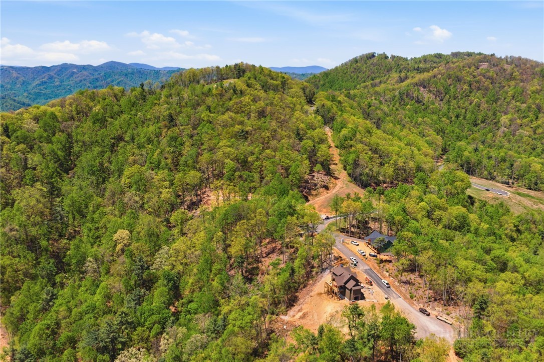 Lot 44 Wildcat Wilderness Parkway Property Photo 15