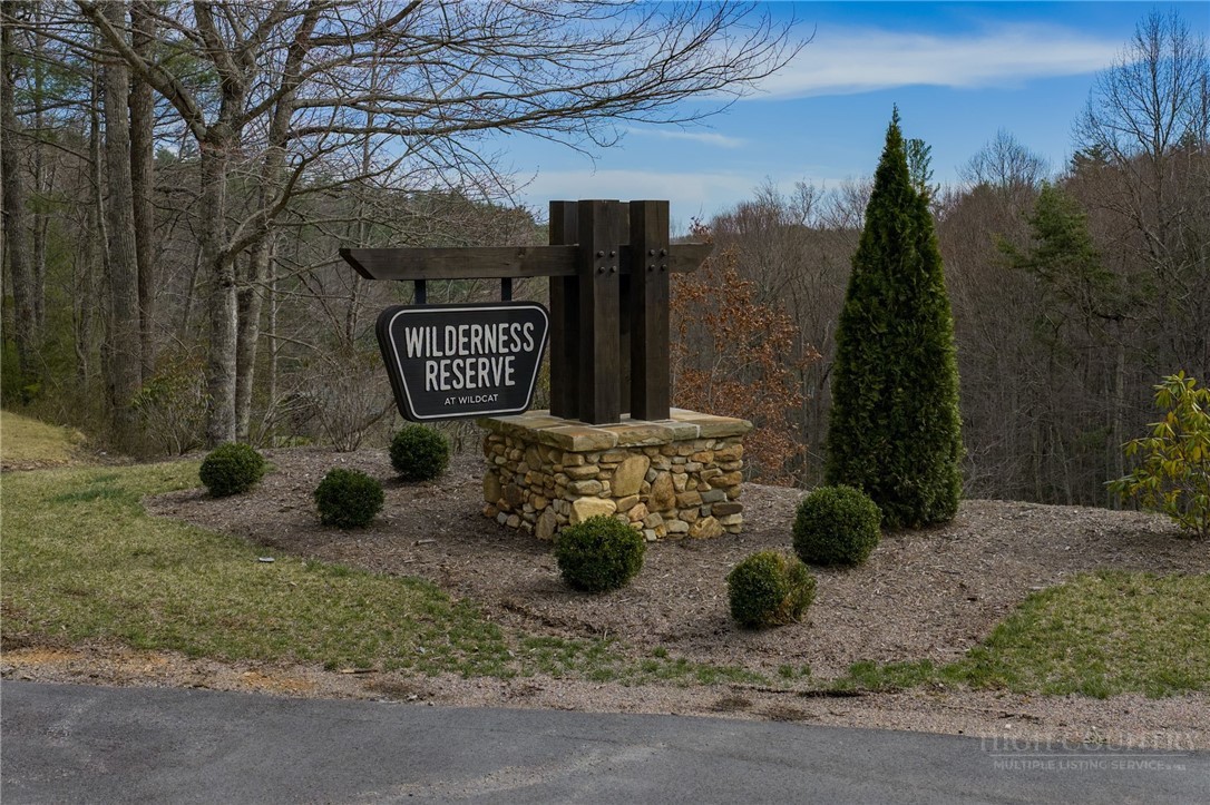 Lot 44 Wildcat Wilderness Parkway Property Photo 19