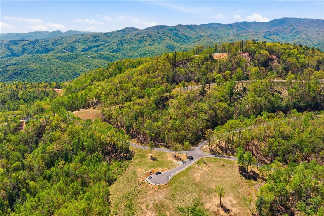 Lot 33 Wildcat Wilderness Parkway Property Photo 6