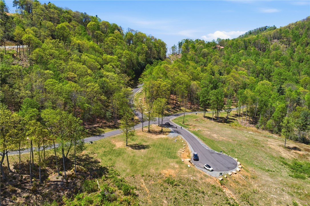 Lot 33 Wildcat Wilderness Parkway Property Photo 8