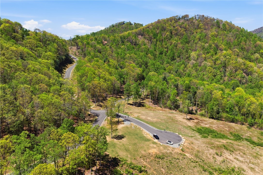 Lot 33 Wildcat Wilderness Parkway Property Photo 13