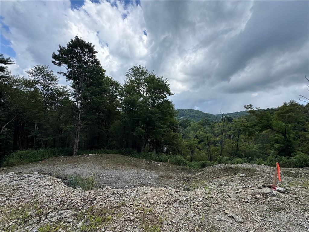 Tbd Wyeth Drive Property Photo 1
