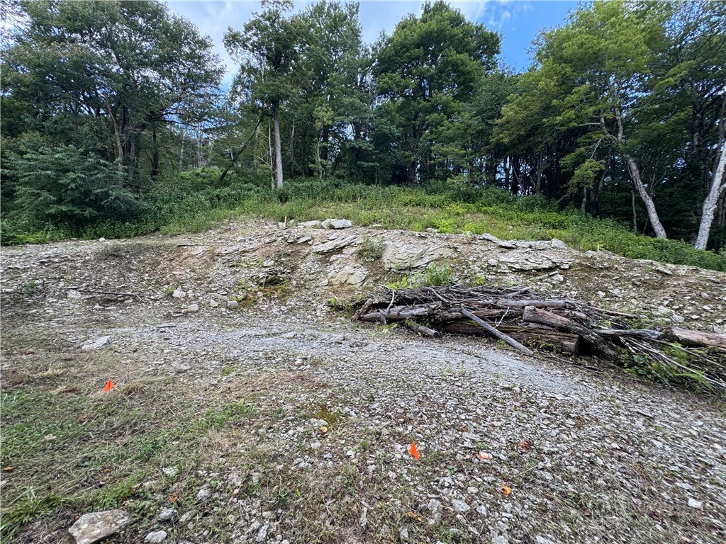 Tbd Wyeth Drive Property Photo 2