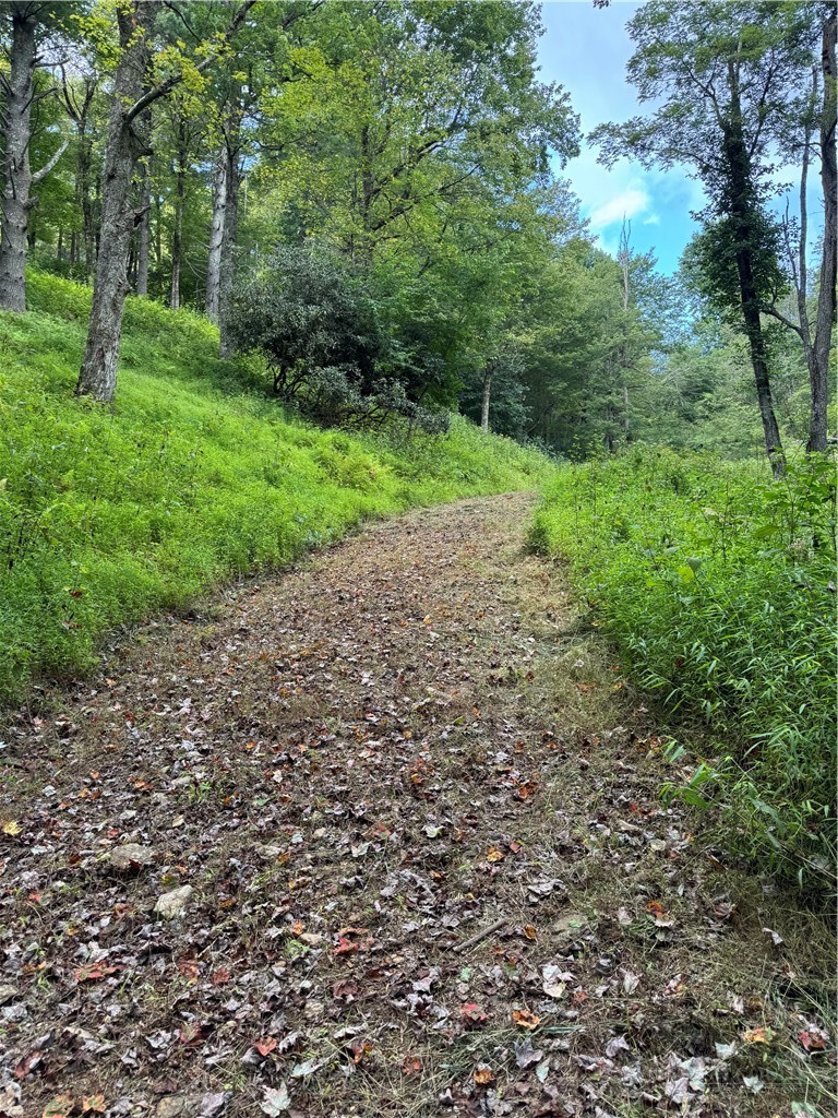 Tbd Wyeth Drive Property Photo 3