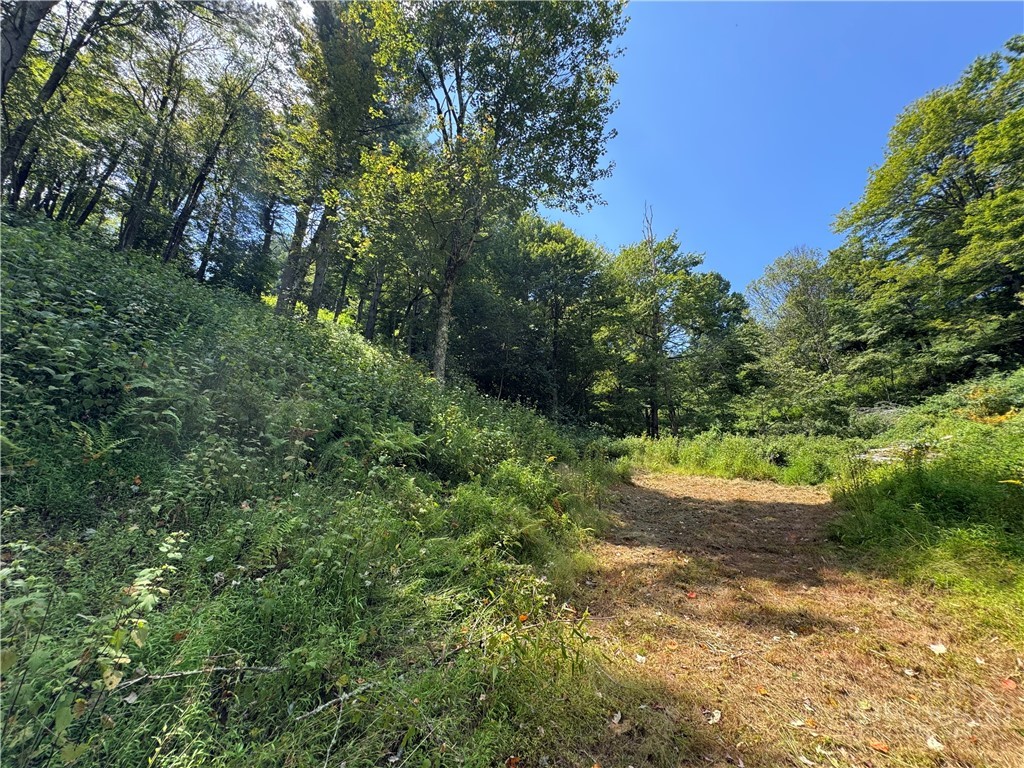 Tbd Wyeth Drive Property Photo 4