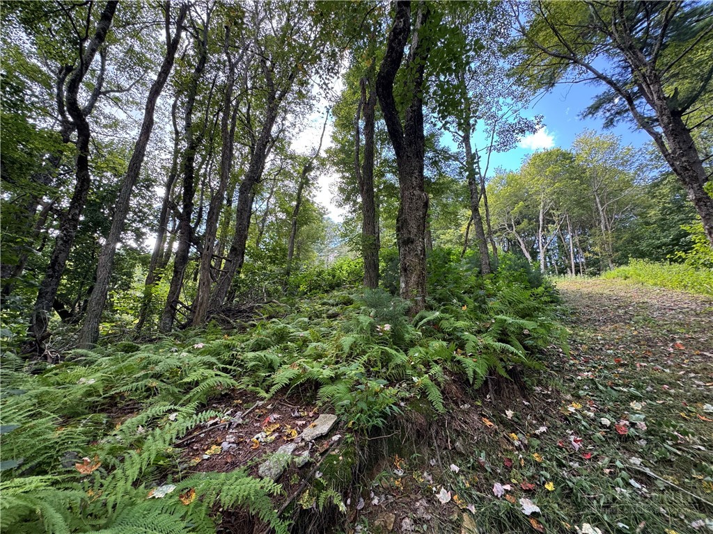 Tbd Wyeth Drive Property Photo 8