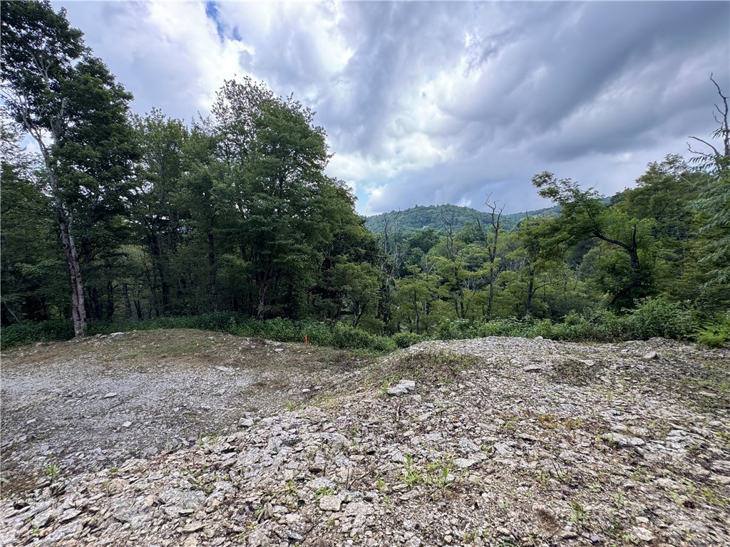 Tbd Wyeth Drive Property Photo 10