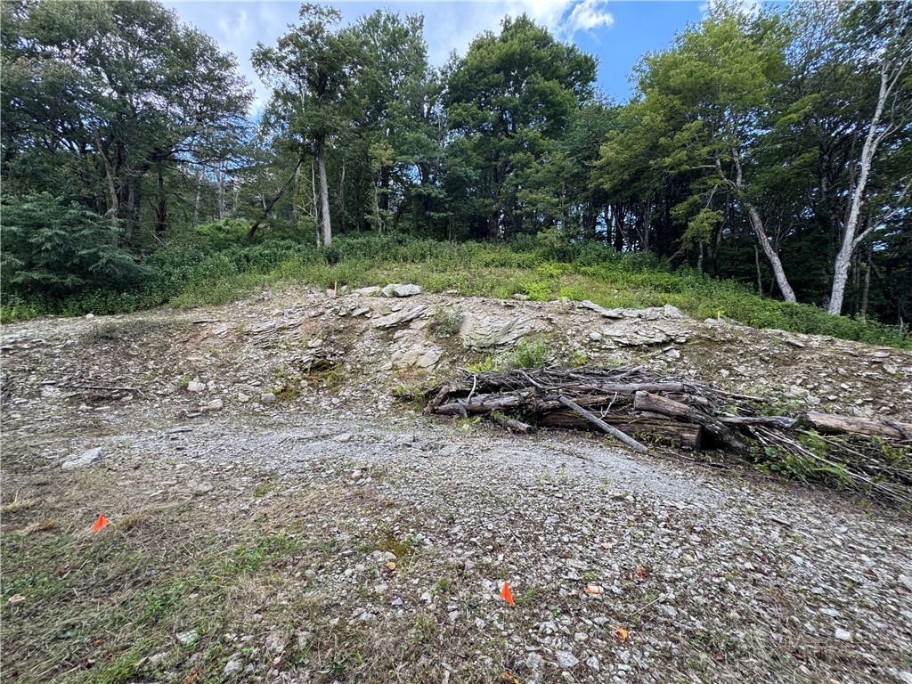 Tbd Wyeth Drive Property Photo 11