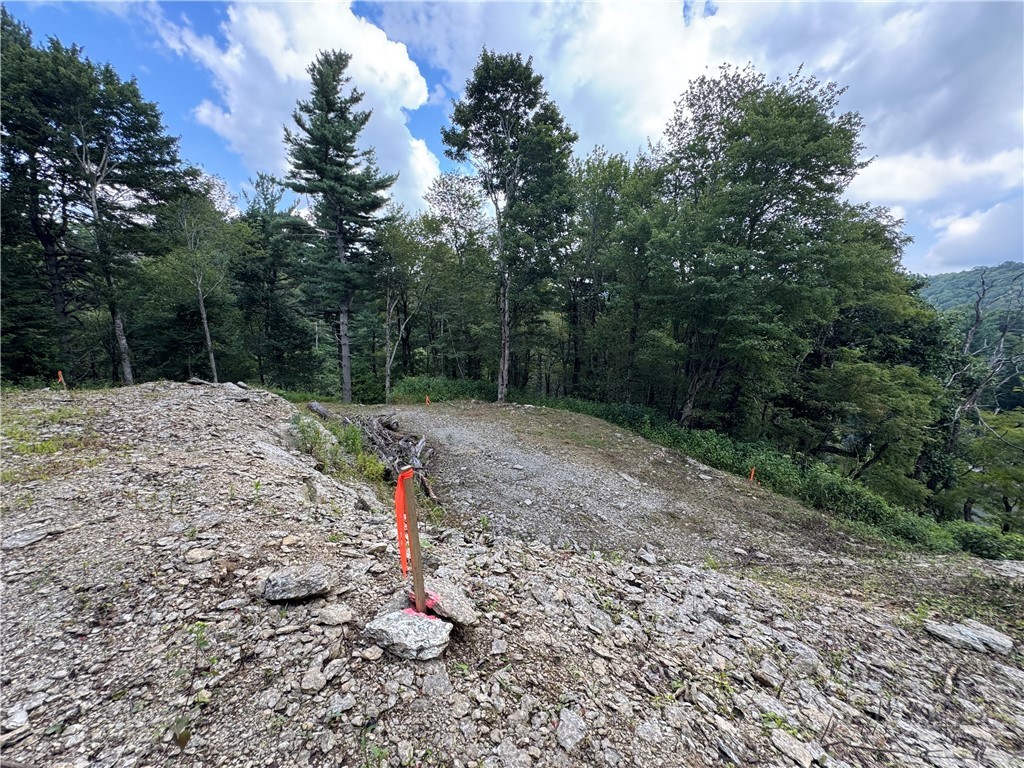 Tbd Wyeth Drive Property Photo 12