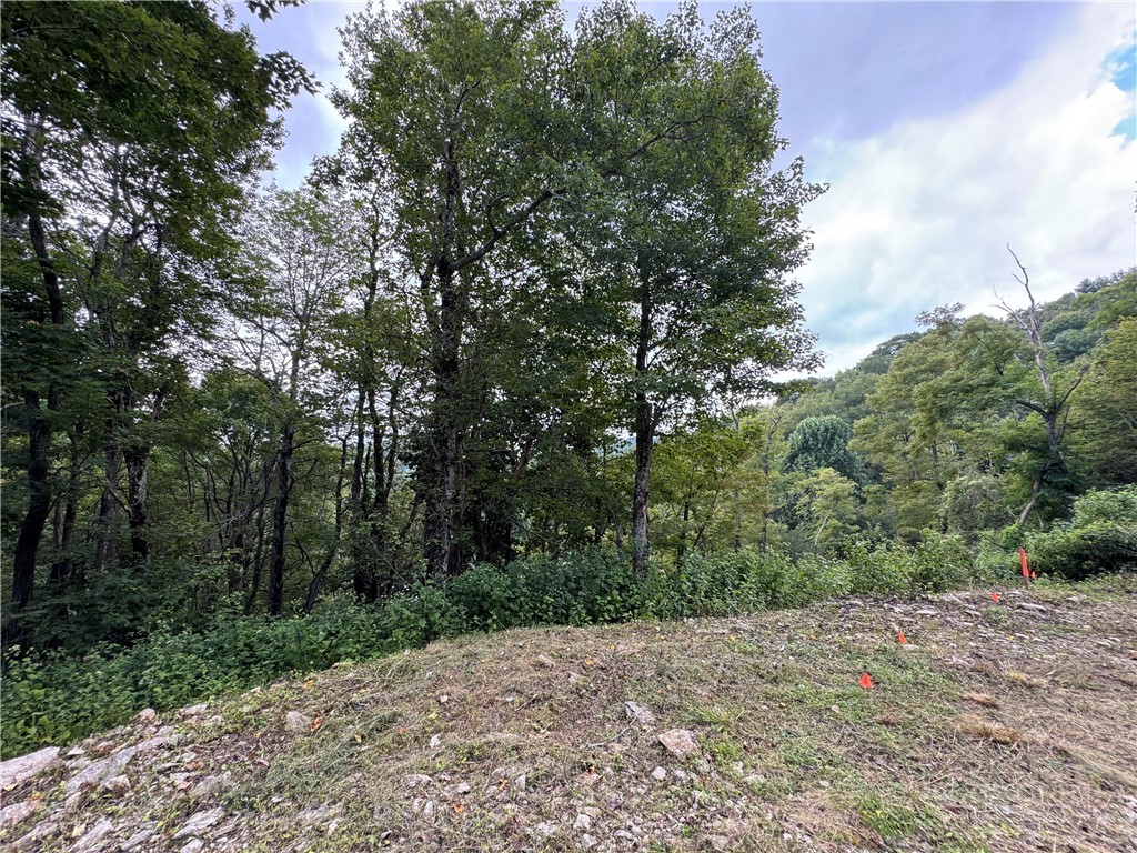 Tbd Wyeth Drive Property Photo 13