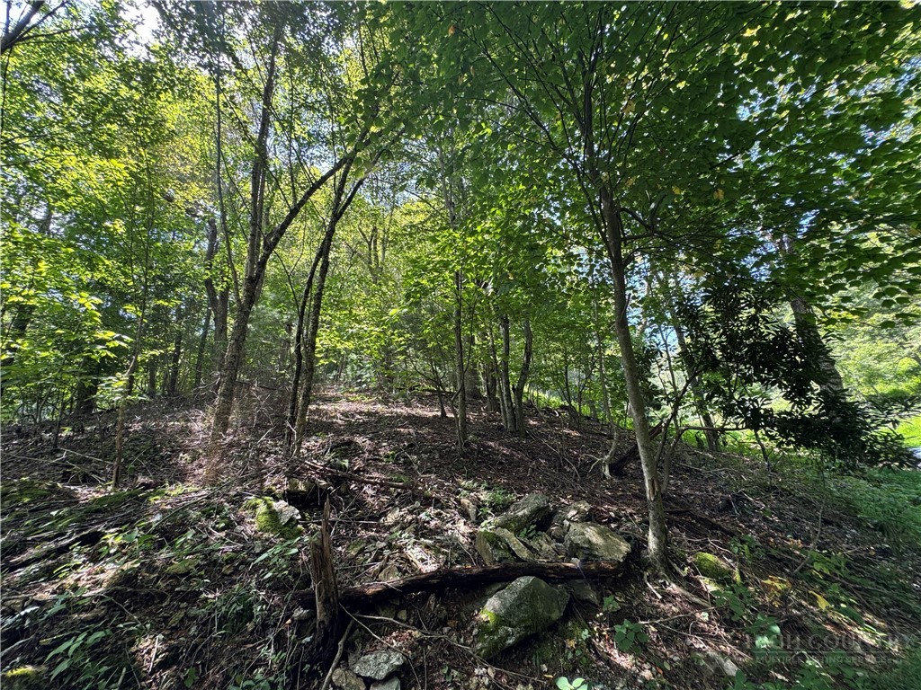 Tbd Wyeth Drive Property Photo 15