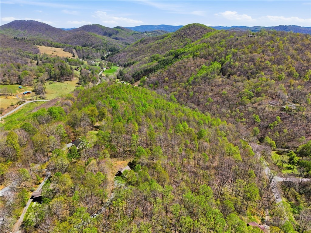 173 Goat Hill Road Property Photo 46