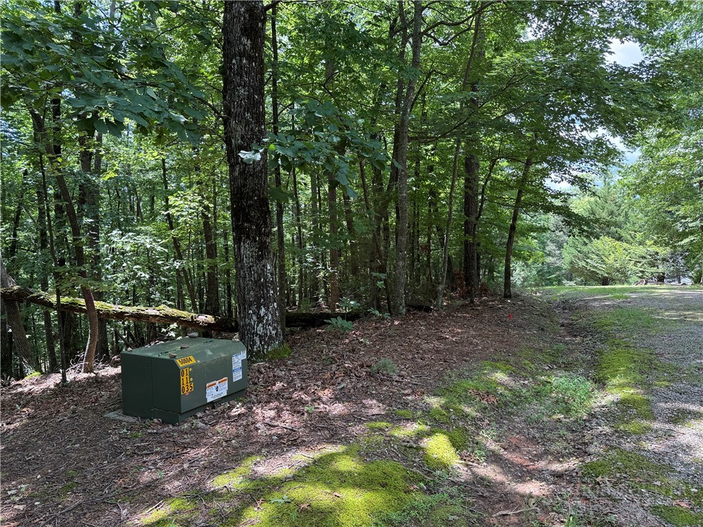 Lot 139 Pine Burr Drive Property Photo 3