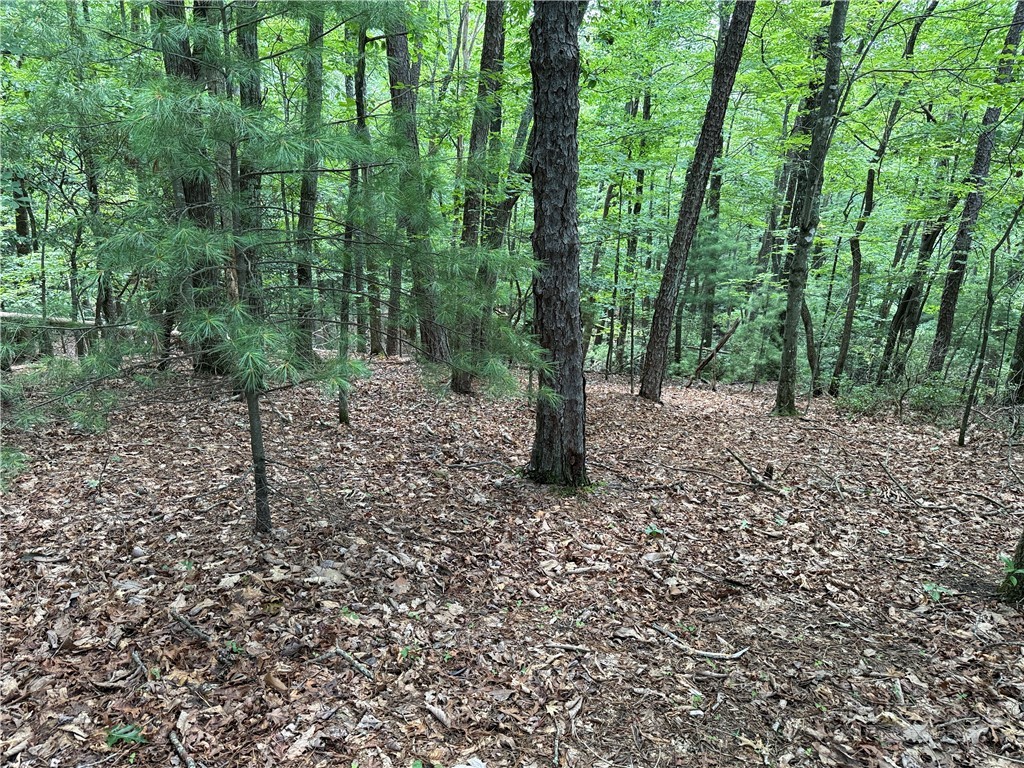 Lot 139 Pine Burr Drive Property Photo 4