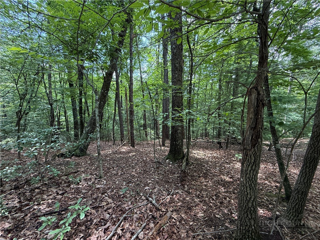Lot 139 Pine Burr Drive Property Photo 5