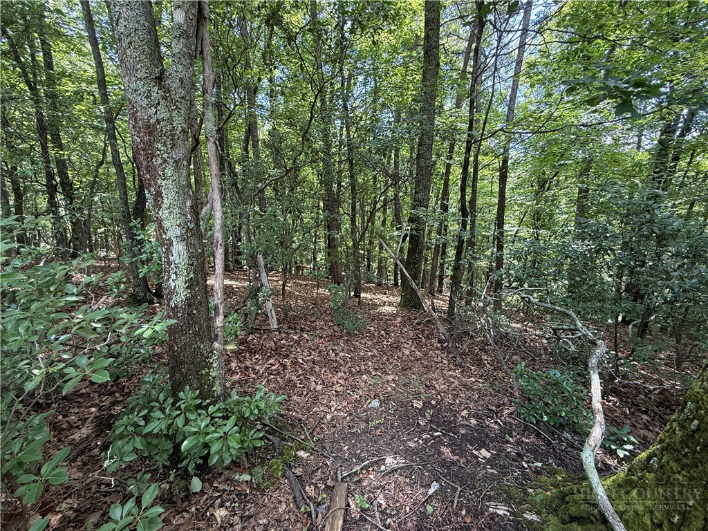 Lot 139 Pine Burr Drive Property Photo 6