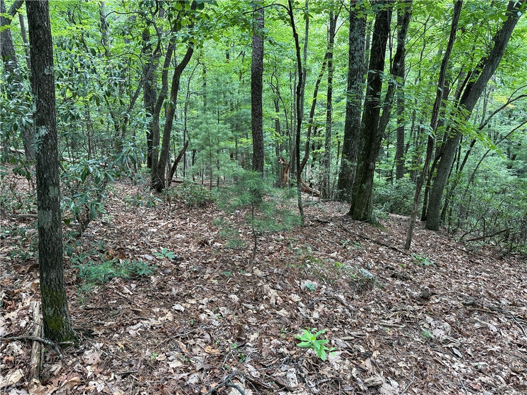Lot 139 Pine Burr Drive Property Photo 7