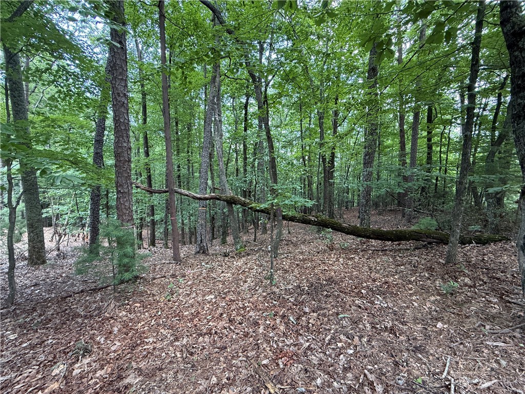 Lot 139 Pine Burr Drive Property Photo 9