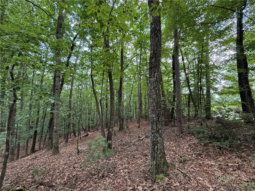 Lot 139 Pine Burr Drive Property Photo 10