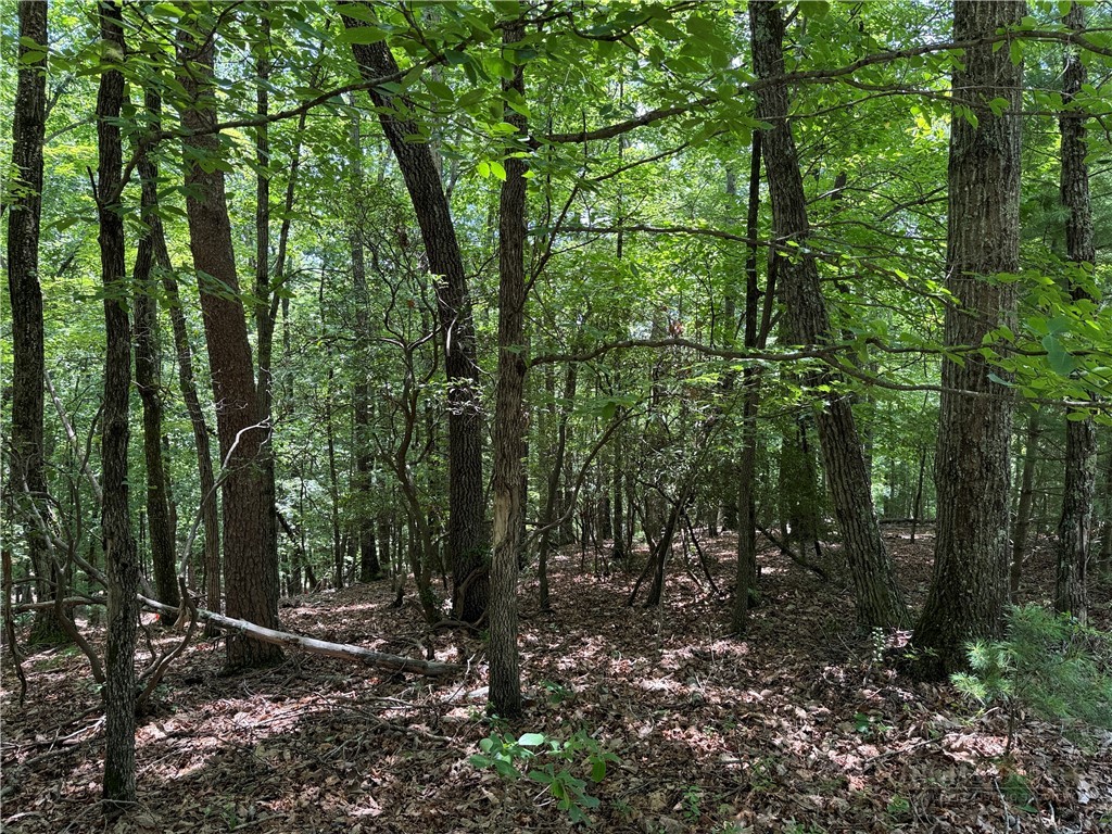 Lot 139 Pine Burr Drive Property Photo 11