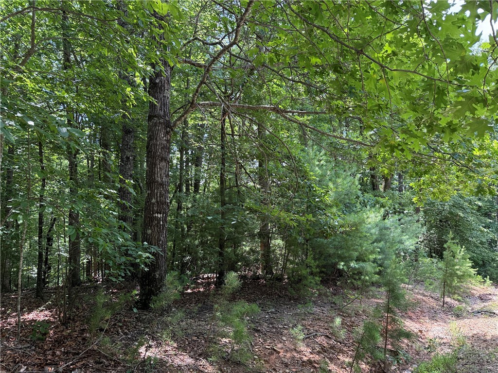 Lot 139 Pine Burr Drive Property Photo 12