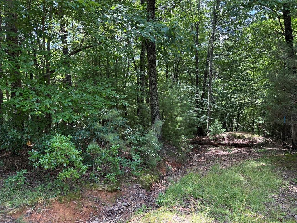 Lot 139 Pine Burr Drive Property Photo 13