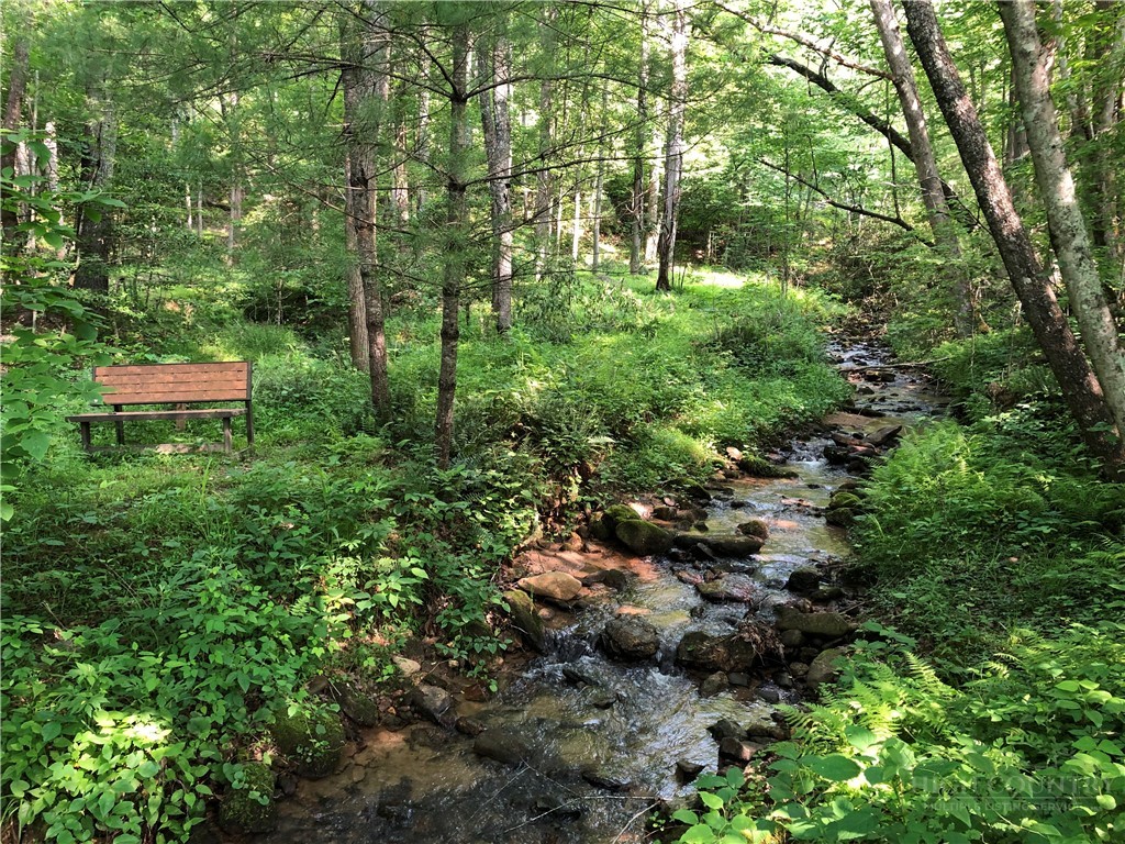 Lot 139 Pine Burr Drive Property Photo 31