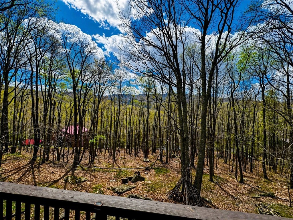 125 Lower Grouse Ridge Road Property Photo 21