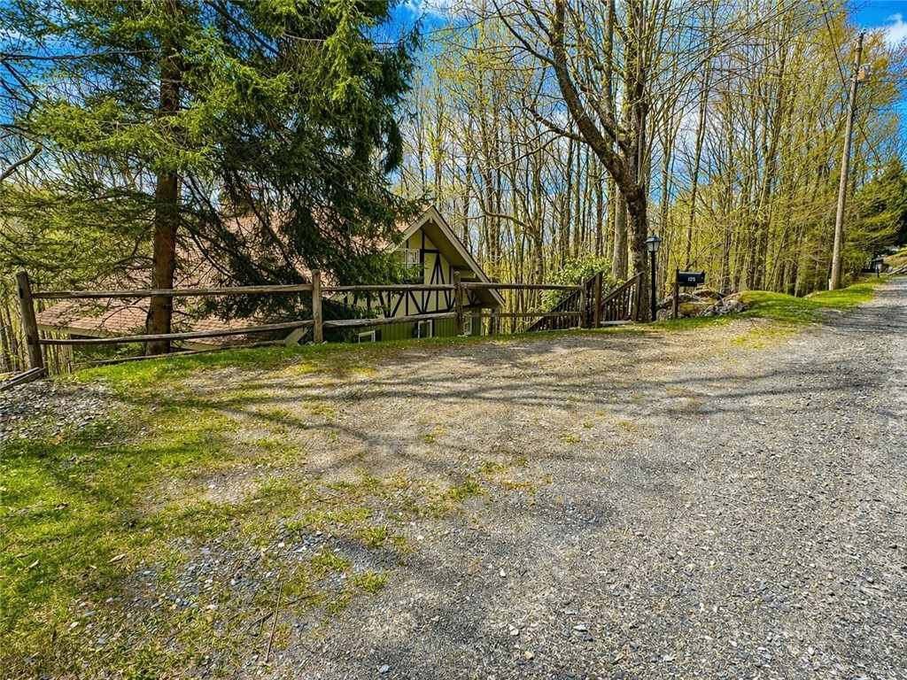 125 Lower Grouse Ridge Road Property Photo 47