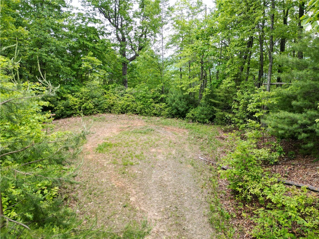 47 Elkhorn Ph 4 L 47 Road Property Photo 1