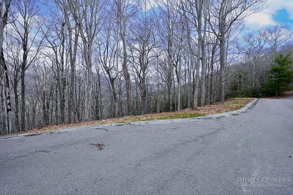 Tbd Lot #46 Woodlily Drive Property Photo 1