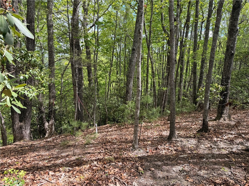 Tbd Elk Ridge Road Property Photo 2