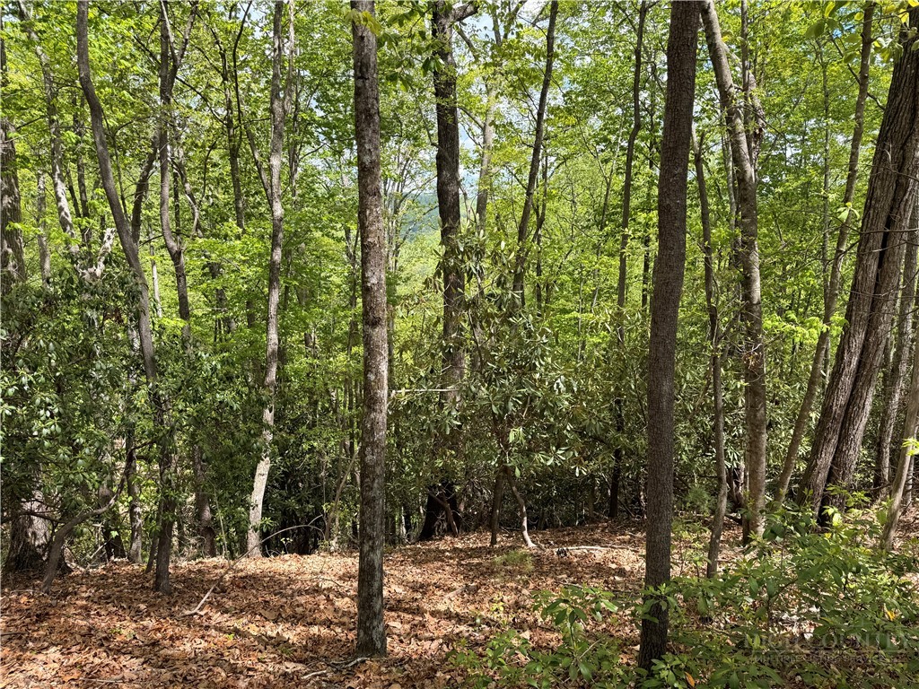Tbd Elk Ridge Road Property Photo 3